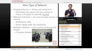 "Animal Behavior" | Biology with Educator.com