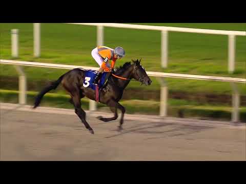 230805 c05 RAF VALLONE (BRZ)