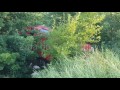 Accident Rutier Grav La 23 August Județul Constanța Mașină Răsturnată Cuprinsă De Flăcări