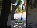 Explorando Mendoza Transporte Público O Aventura