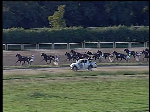 Trotto 14/09/2018 - 5ª corsa