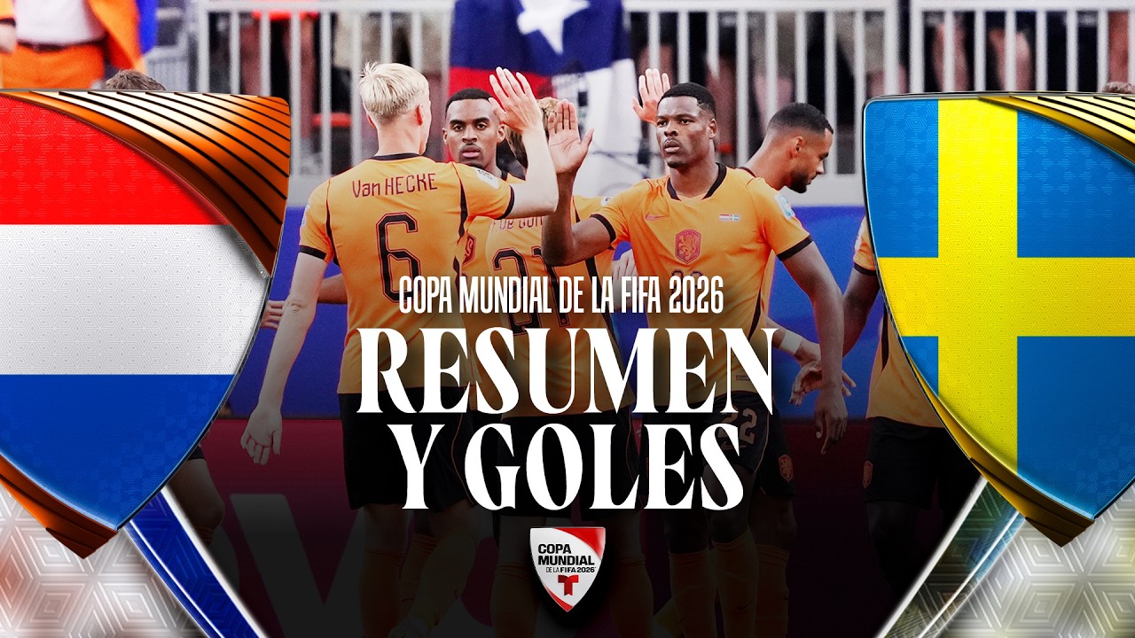 Resumen Países Bajos vs Suecia