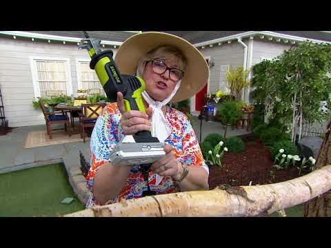 Sun Joe 24V Cordless Handheld Pruning Saw with 4 Blades on QVC