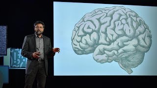 Does your brain decides what is beautiful?