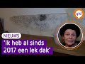 OVERAL SCHIMMEL in deze Arnhemse huizen