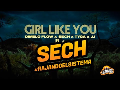Sech  | Girl Like You Ft Dimelo Flow, Tyga, J.I | VIDEO REACCION