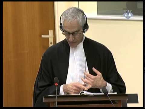 Završne riječi - Karadžić (Deo 4/5) - 29. septembar 2014.