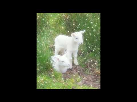 *FREE* jersey club x hyperpop type beat