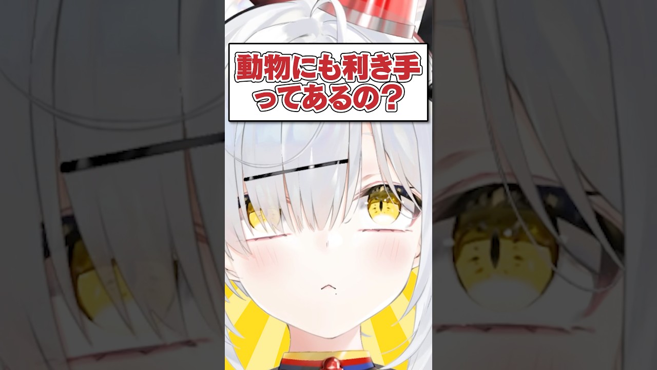 Q.動物にも利き手ってあるの？