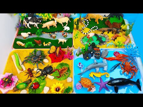 Huge 4 habitats Animal diorama- Learn Names of Farm Wild  Sea animals plus Insects-Preschool project
