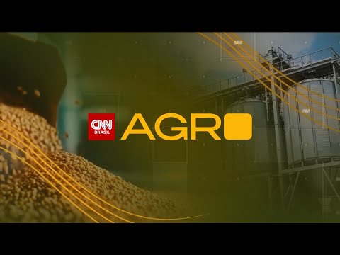 Trabalhadores no campo durante safra