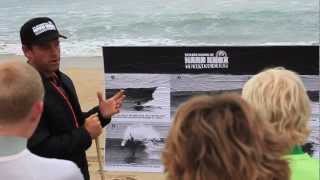 Taylor's School of Hard Knox