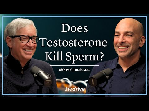 Can You Recover Fertility After Taking Testosterone? | Paul Turek, M.D.