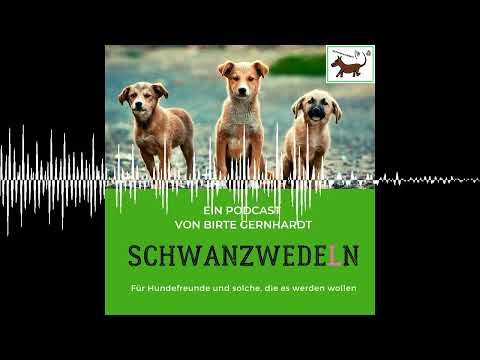 87 Joe Bidens Schäferhund Commander - Schwanzwedeln