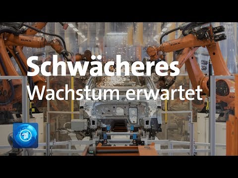 Wirtschaftsweisen erwarten schwächeres Wirtschaftswachstum