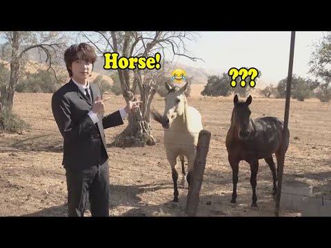 BTS (방탄소년단) with animals