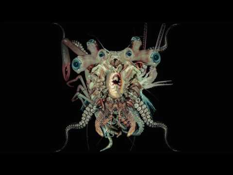 dj Skull Vomit - Antigoon