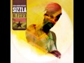 Sizzla - Blessed (David Starfire Remix) 