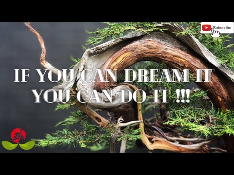 IF YOU CAN DREAM IT YOU CAN DO IT !!!