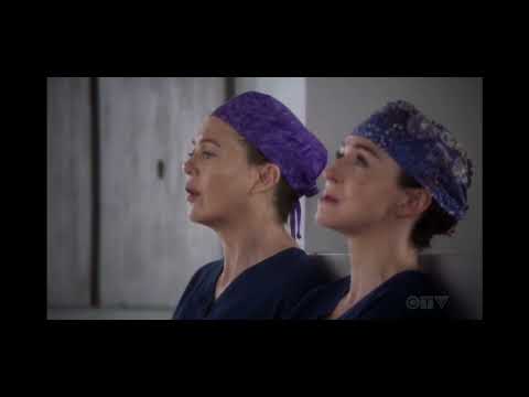 Amelia and Meredith | Grey's anatomy season 18x8 | scene 3