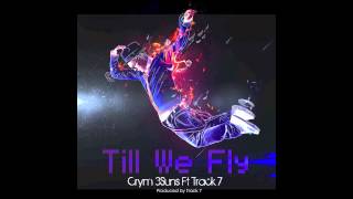 Crym 3Suns feat. Track 7-  Till We Fly