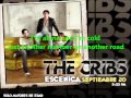 The Cribs - Another Number with Lyrics