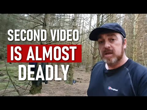 6 incontri scioccanti nella foresta ripresi dalla telecamera a cui non crederai