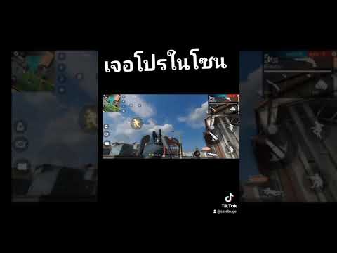 โปรฟีฟาย