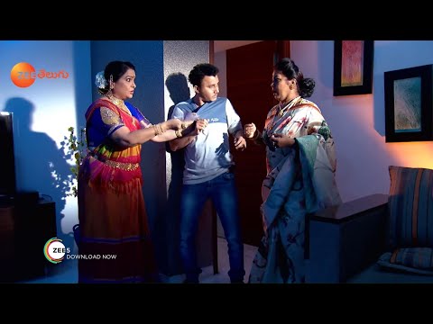 Gruhapravesam - Telugu Tv Serial - Best Scene - 285 - Niprupam Parital, Jayalalitha - Zee Telugu