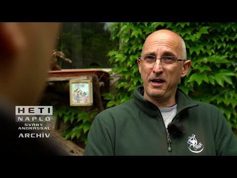 Ez az igazi veszélyhelyzet: kétmillió fecske hiányzik Magyarországról / HETI NAPLÓ 2019.06.16.