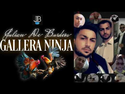 Julian de Burdeos - Gallera ninja (Audio) #dedicado #flamenco #tiktok