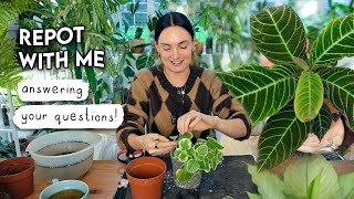 Answering Your Questions 🌱 Chatty, Relaxed Repot