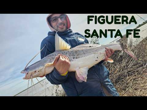 PESCA en FIGHIERA SANTA FE / SALIO LA BESTIA