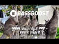 Luude & Colin Hay - Down Under [Bass Boosted]