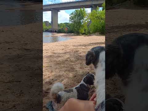 camping municipal de cerrito R.S