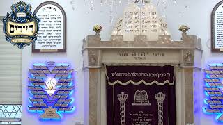 בית הכנסת יזדים  • יום חמישי כה' שבט תשפ'ו (בית הכנסת מוסאיוף) - התמונה מוצגת ישירות מתוך אתר האינטרנט יוטיוב. זכויות היוצרים בתמונה שייכות ליוצרה. קישור קרדיט למקור התוכן נמצא בתוך דף הסרטון