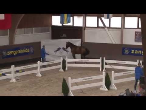 N ¦10 MILLION DOLLAR