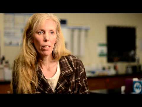 Science Alumni Stories