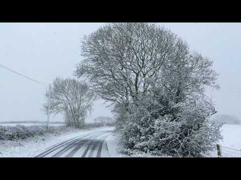 Barlow Spring or Winter?