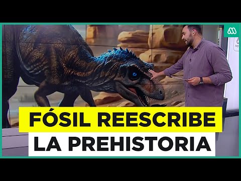 Descubren fósil de dinosaurio bípedo en Argentina de gran antigüedad