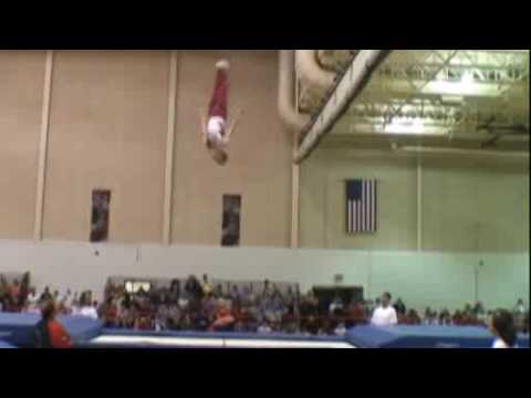 Gymnastikförbundet, presentation 2008