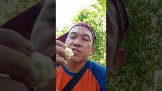 Download lagu (kocak) ekspresi muka makan jeruk kecut,  lucu dan bikin ngiler. mp3 Download lagu (kocak) ekspresi muka makan jeruk kecut,  lucu dan bikin ngiler. mp3