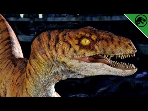 Everything You Need To Know About The Mysterious Fall Of Site B - JURASSIC PARK LORE | Isla Sorna