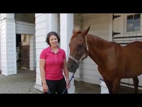 Slide 6 - SuperWrap CoCom Bandage Black 4"  (video)