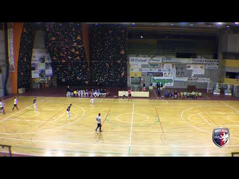 Highlights Sedico vs Imolese Kaos