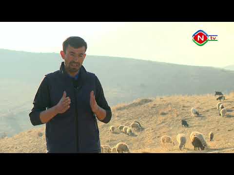 Nuhçıxan Naxçıvan: Göynük kəndi - 15.12.2021