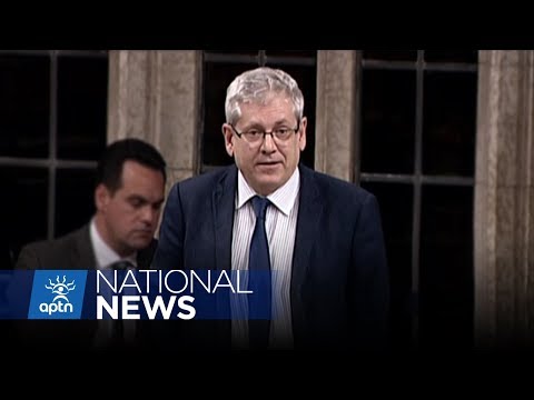 Charlie Angus accuses the Liberal government of protecting pedophiles | APTN News