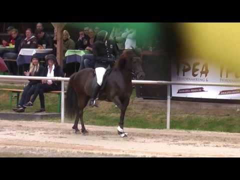 Gletting vom Kronshof, MEM16T1