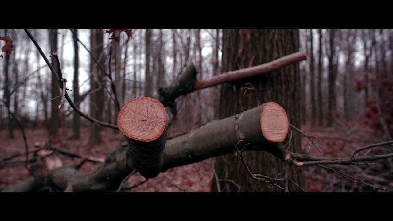 Объектив Samyang 24mm T1.5 ED AS UMC Vdslr Canon EF