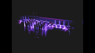 GLOLITE 20' RGB LED Accent Lighting Fixture 